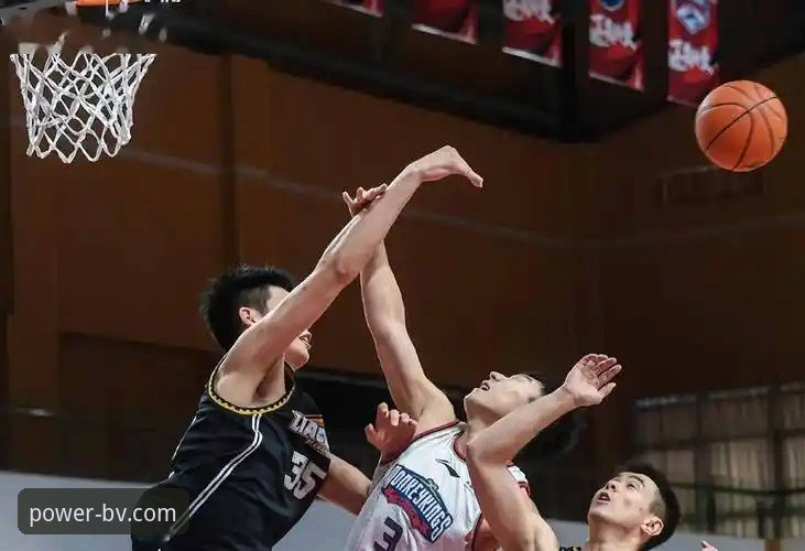 辽宁G2输球vs乌戈用人：宝威体育平台深度解析战术败笔与调整失误